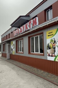 Специальное помещение в Ярмолинцах, продажа по Защитников Украины (Пушкина) улица 36, район Ярмолинцы, цена: 195 000 долларов за объект фото 2