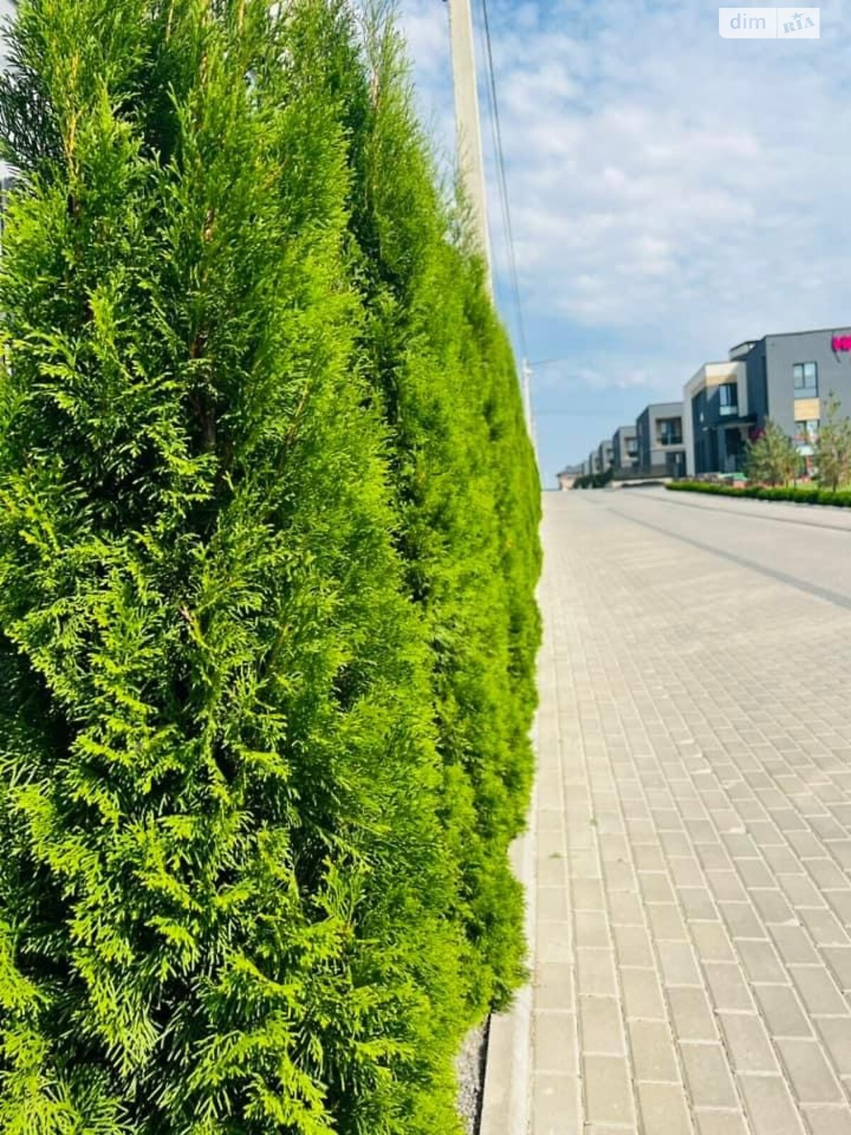 двухэтажный таунхаус, 113.2 кв. м, кирпич. Продажа в Байковцах фото 1 двухэтажный таунхаус, 113.2 кв. м, кирпич. Продажа в Байковцах фото 1
