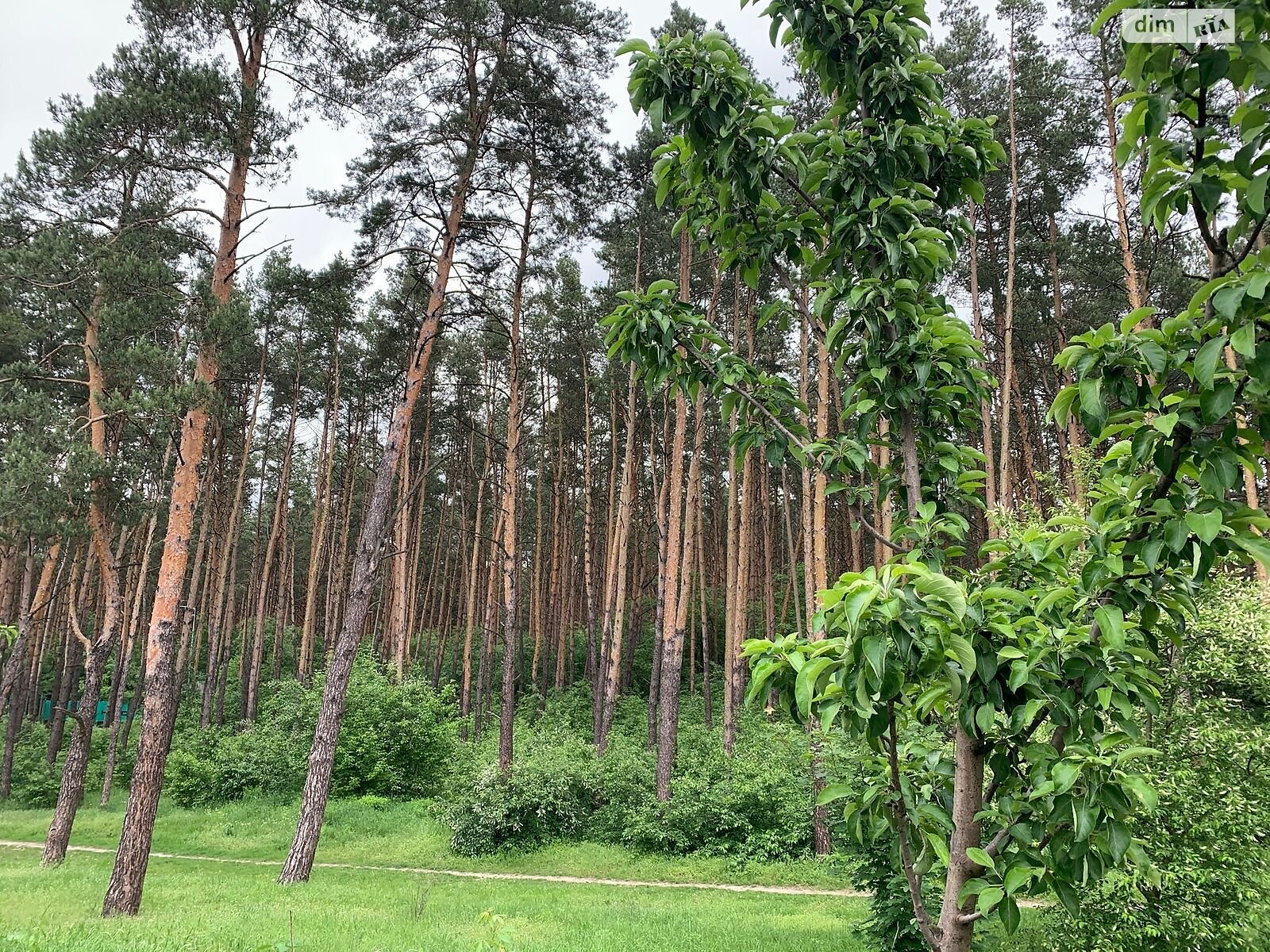 двоповерховий таунхаус, 80 кв. м, газобетон. Продаж в Гнідині фото 1 двоповерховий таунхаус, 80 кв. м, газобетон. Продаж в Гнідині фото 1