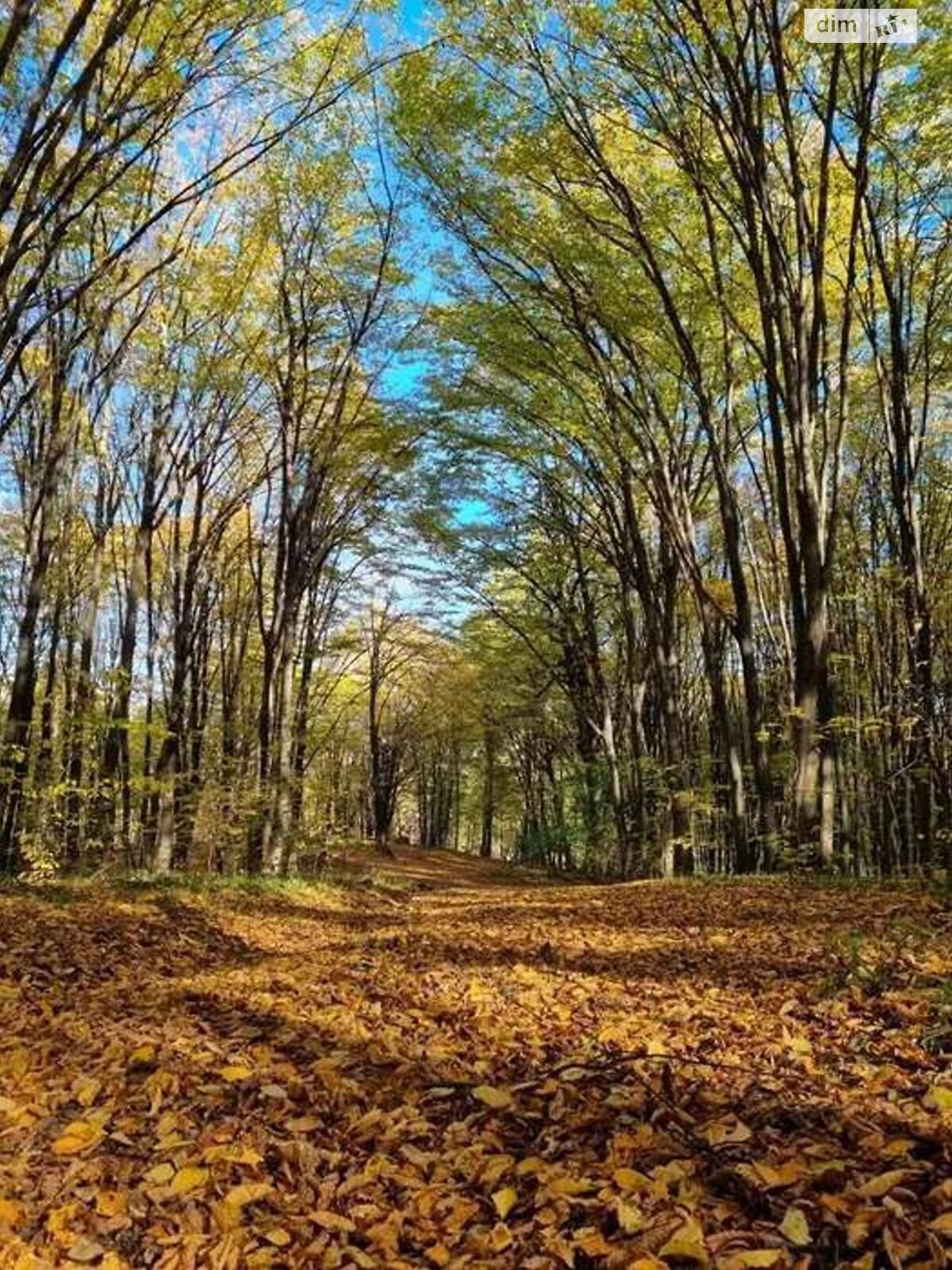 трехэтажный таунхаус, 148 кв. м, кирпич. Продажа в Горбовичах фото 1 трехэтажный таунхаус, 148 кв. м, кирпич. Продажа в Горбовичах фото 1