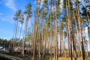 трехэтажный таунхаус, 121 кв. м, пеноблок. Продажа в Гостомеле фото 2