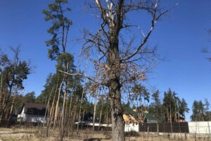 двоповерховий таунхаус, 82 кв. м, цегла. Продаж в Ірпені, район Ірпінь фото 2
