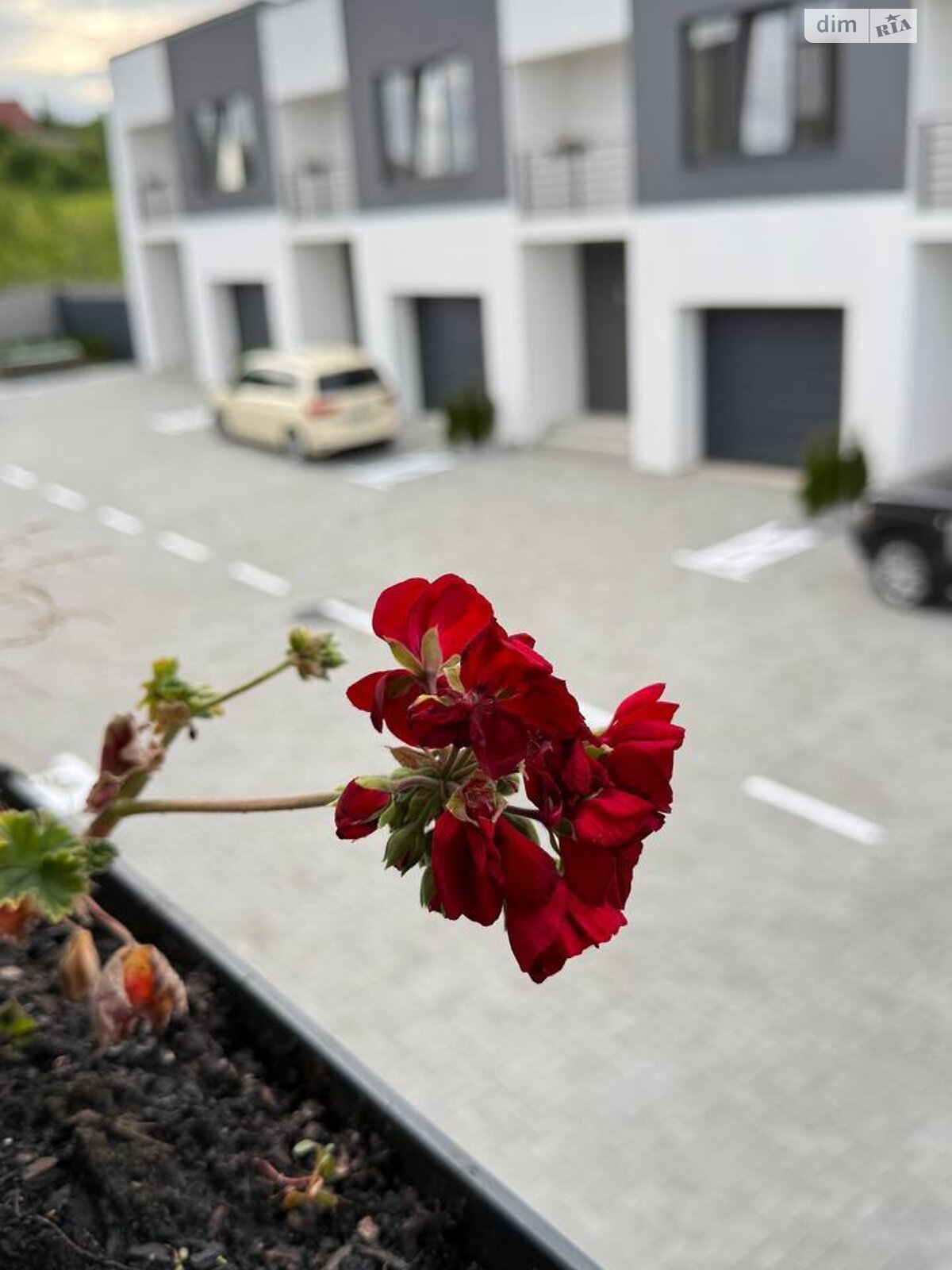 двоповерховий таунхаус, 117 кв. м, цегла. Продаж в Рівному, район Південний фото 1 двоповерховий таунхаус, 117 кв. м, цегла. Продаж в Рівному, район Південний фото 1