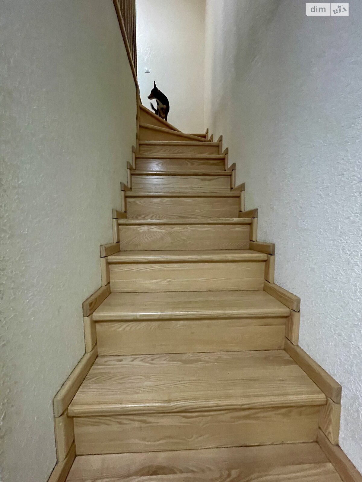 двухэтажный таунхаус, 103.8 кв. м, кирпич. Продажа в Ровно район Зоопарк фото 1 двухэтажный таунхаус, 103.8 кв. м, кирпич. Продажа в Ровно район Зоопарк фото 1