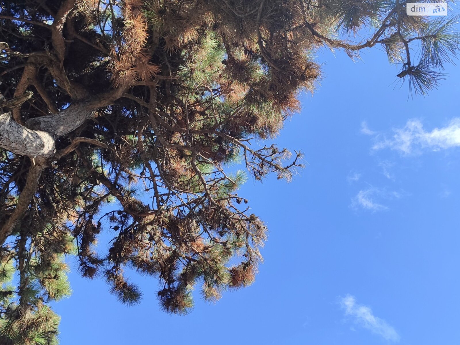 двухэтажный таунхаус, 103 кв. м, кирпич. Продажа в Таирово фото 1 двухэтажный таунхаус, 103 кв. м, кирпич. Продажа в Таирово фото 1