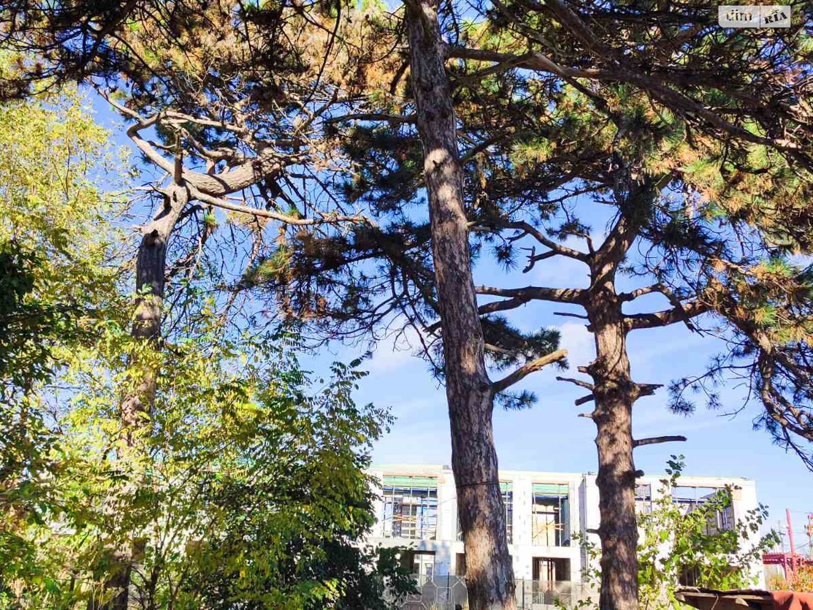 двоповерховий таунхаус, 103 кв. м, керамический кирпич. Продаж у Таїрове фото 1 двоповерховий таунхаус, 103 кв. м, керамический кирпич. Продаж у Таїрове фото 1