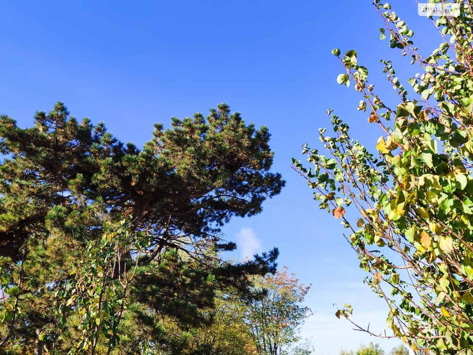 двоповерховий таунхаус, 103 кв. м, керамический кирпич. Продаж у Таїрове фото 1 двоповерховий таунхаус, 103 кв. м, керамический кирпич. Продаж у Таїрове фото 1