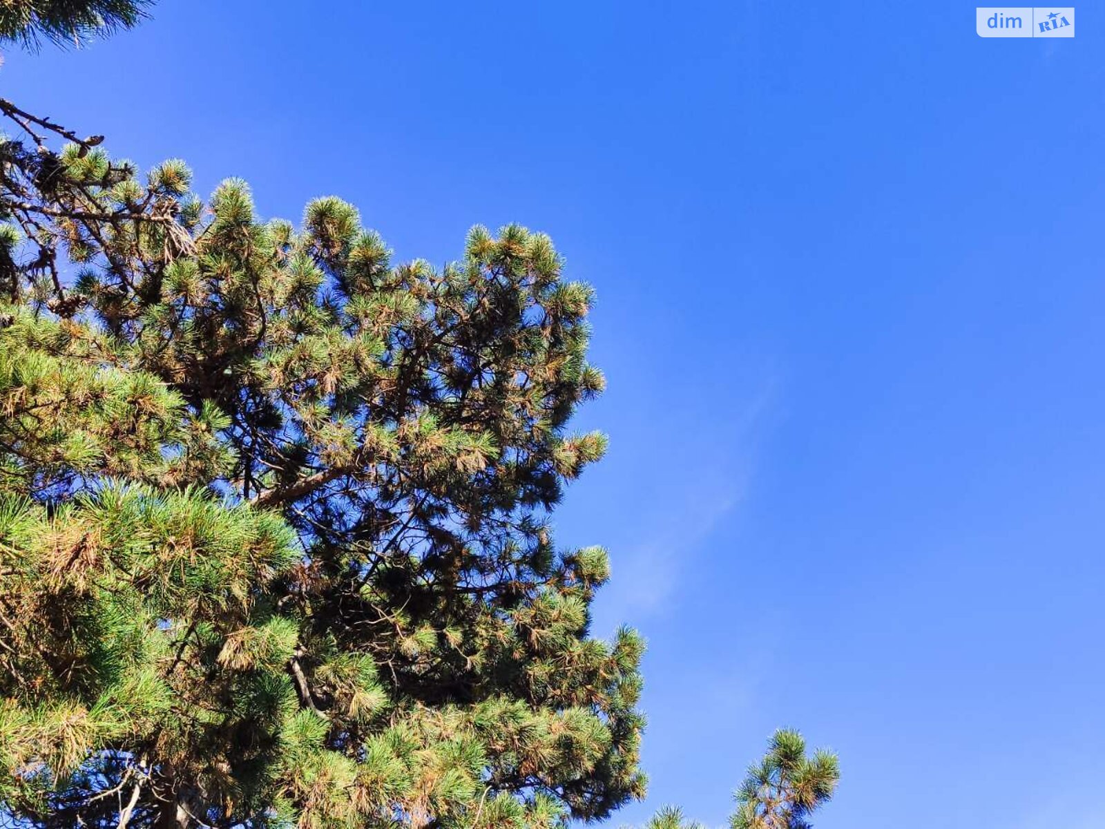 двоповерховий таунхаус, 103 кв. м, керамический кирпич. Продаж у Таїрове фото 1 двоповерховий таунхаус, 103 кв. м, керамический кирпич. Продаж у Таїрове фото 1