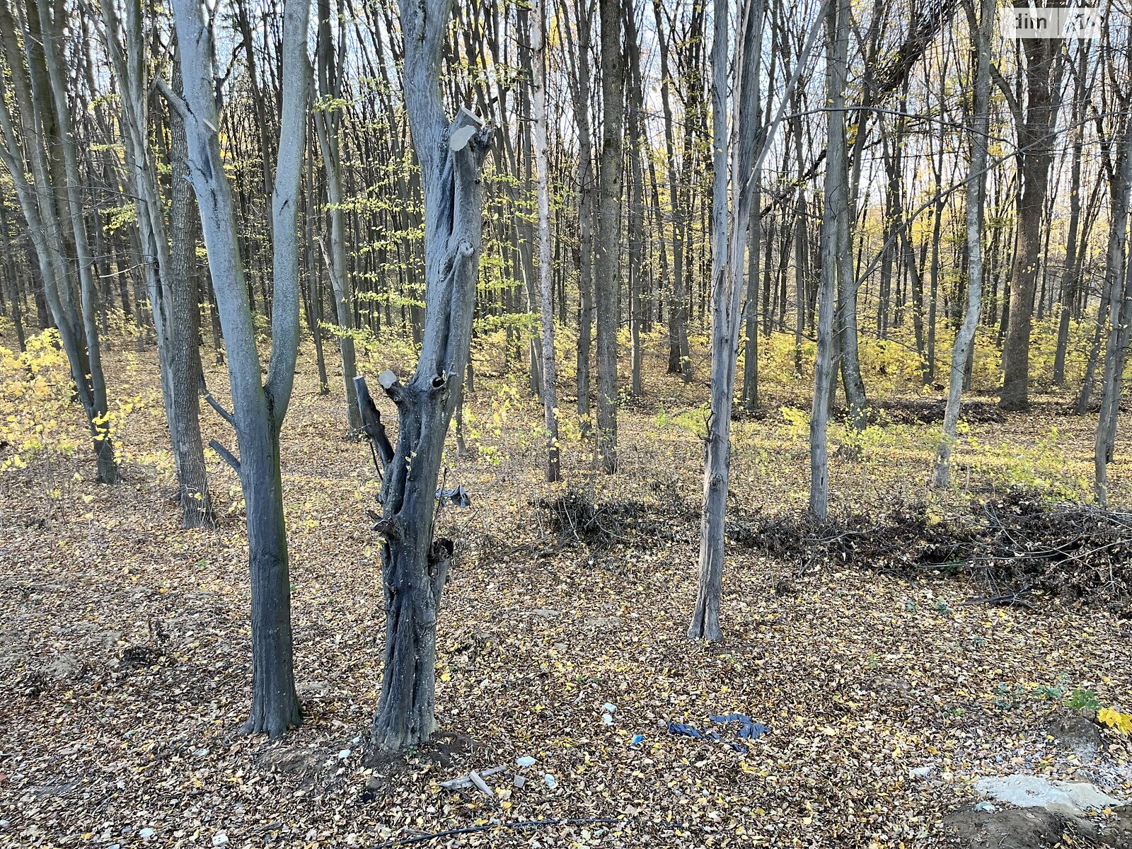 двоповерховий таунхаус, 120 кв. м, цегла. Продаж в Вінниці, район Корея фото 1