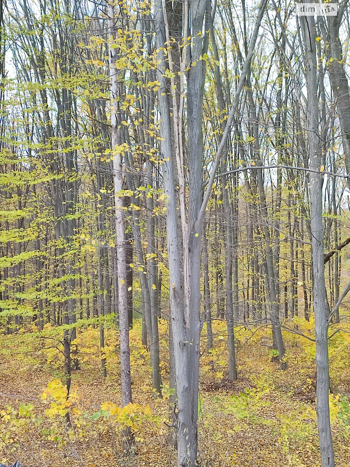 двухэтажный таунхаус, 125 кв. м, кирпич. Продажа в Виннице район Корея фото 1 двухэтажный таунхаус, 125 кв. м, кирпич. Продажа в Виннице район Корея фото 1