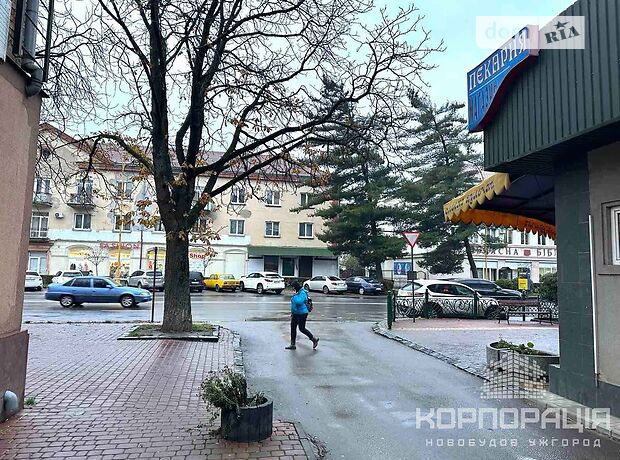 Спеціальне приміщення в Ужгороді, продаж по Свободи проспект, район Центр, ціна: 162 000 долларів за об’єкт фото 1 Спеціальне приміщення в Ужгороді, продаж по Свободи проспект, район Центр, ціна: 162 000 долларів за об’єкт фото 1