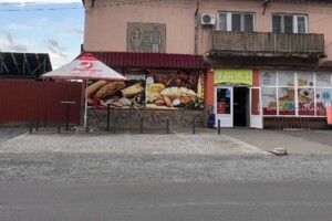 Специальное помещение в Виноградове, продажа по Чешская (Достоевского) улица, район Виноградов, цена: 175 000 долларов за объект фото 2