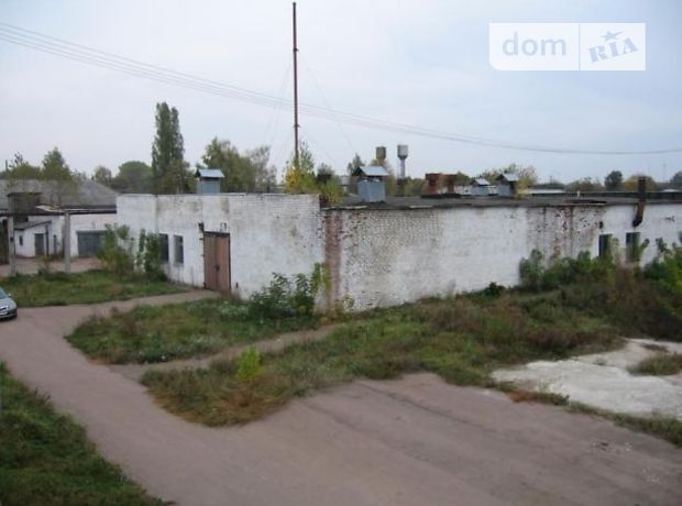 Торговая площадь Мена,р‑н.,Мена фото 1 Торговая площадь Мена,р‑н.,Мена Продажа фото 1