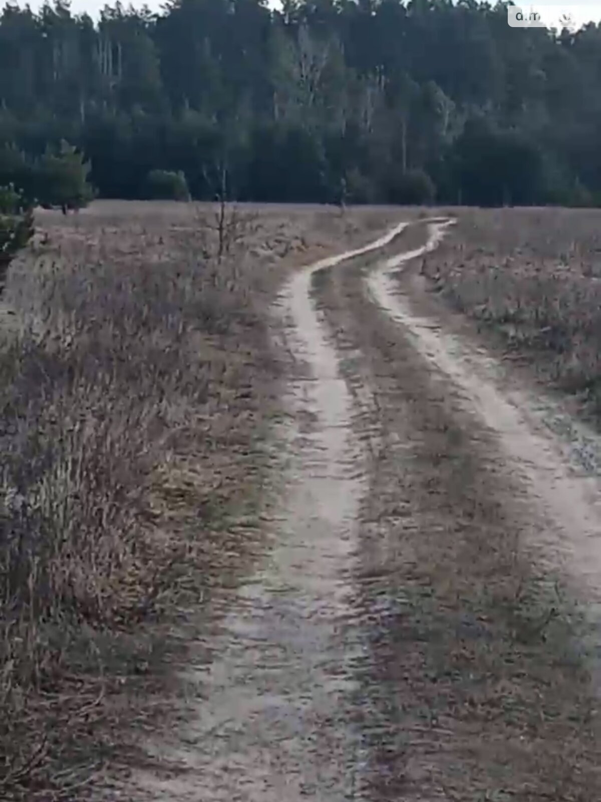 Земельна ділянка під житлову забудову в Абрамівці, площа 20 соток фото 1 Земельна ділянка під житлову забудову в Абрамівці, площа 20 соток фото 1