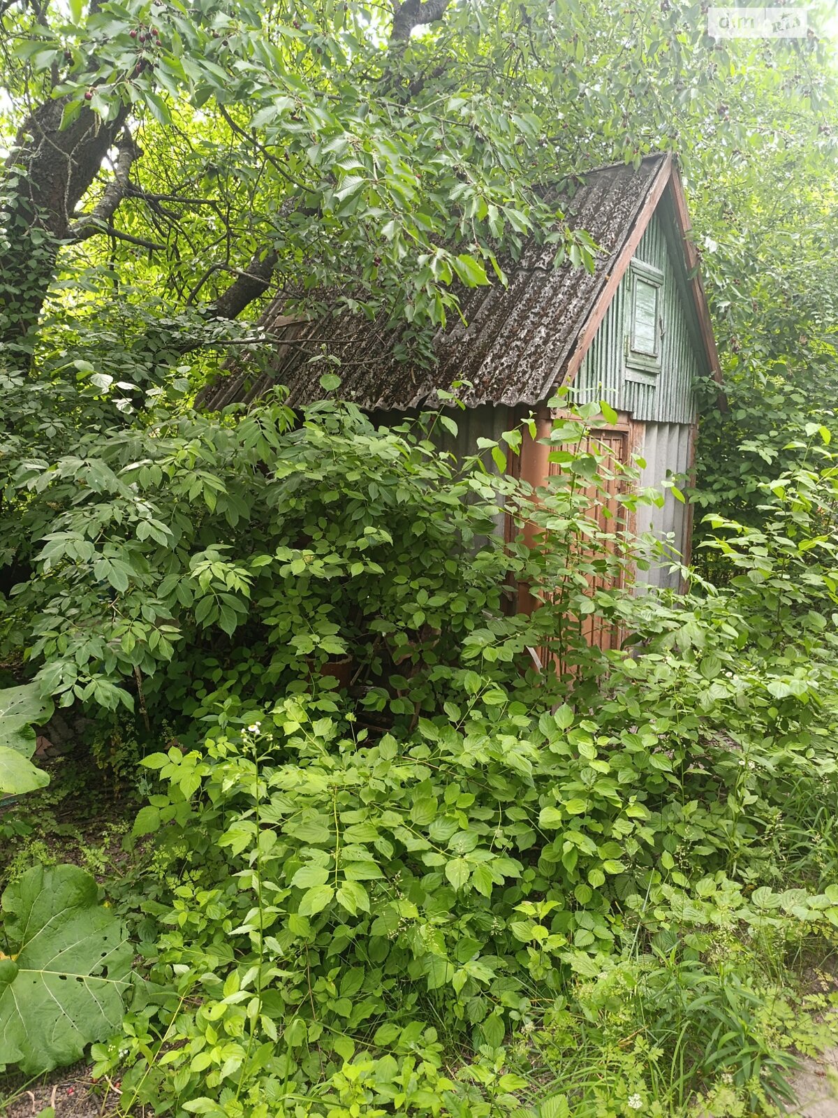 Земельный участок под жилую застройку в Агрономичном, площадь 4 сотки фото 1 Земельный участок под жилую застройку в Агрономичном, площадь 4 сотки фото 1