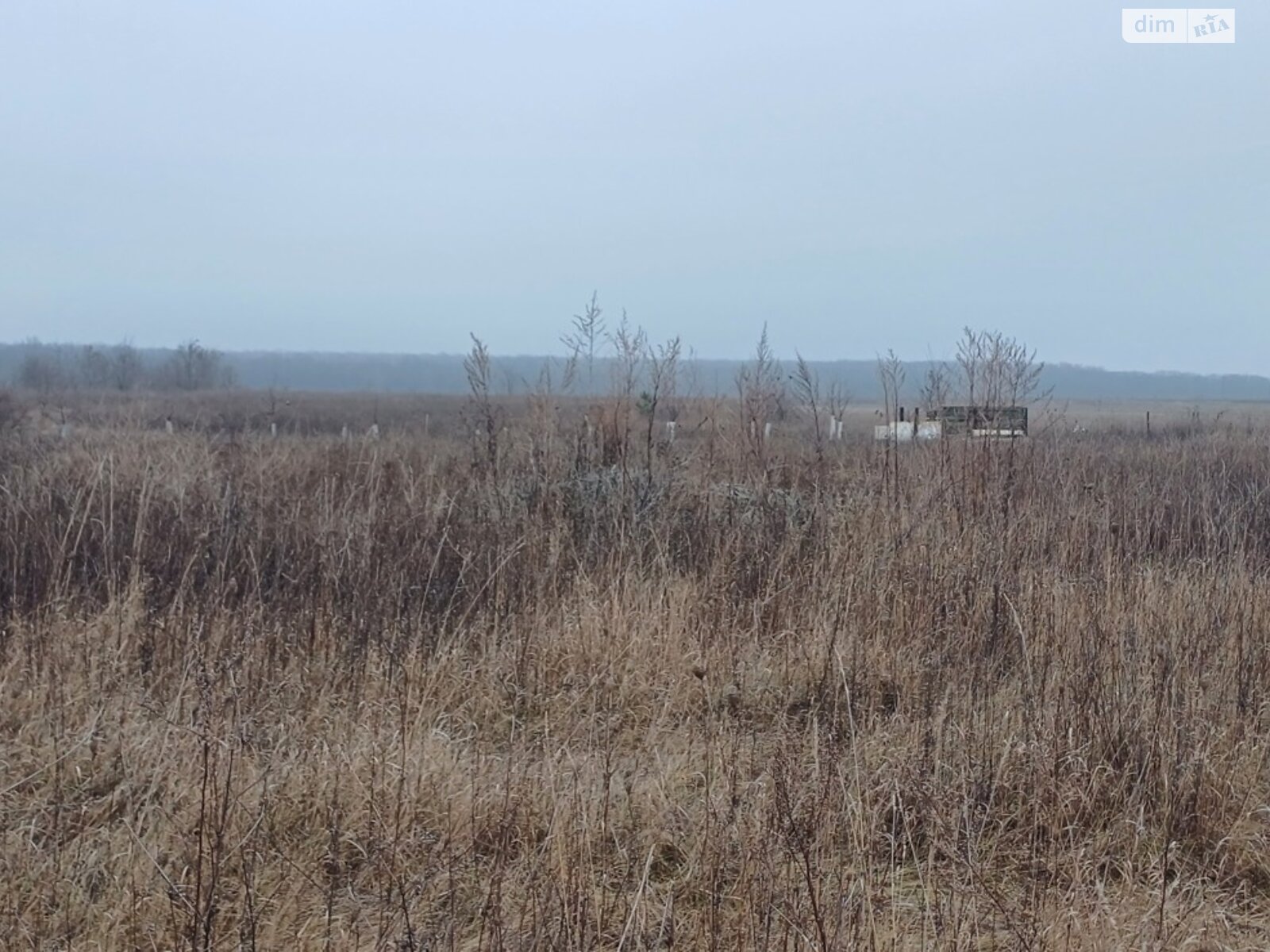 Земельна ділянка під житлову забудову в Агрономічному, площа 10 соток фото 1 Земельна ділянка під житлову забудову в Агрономічному, площа 10 соток фото 1