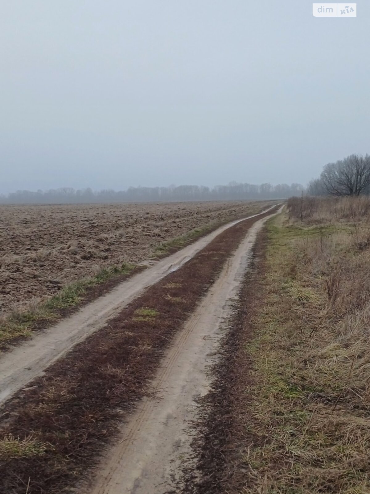 Земельна ділянка під житлову забудову в Агрономічному, площа 10 соток фото 1 Земельна ділянка під житлову забудову в Агрономічному, площа 10 соток фото 1