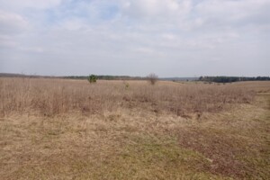 Земельный участок под жилую застройку в Агрономичном, площадь 10 соток фото 2