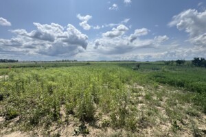 Земельный участок под жилую застройку в Агрономичном, площадь 6 соток фото 2