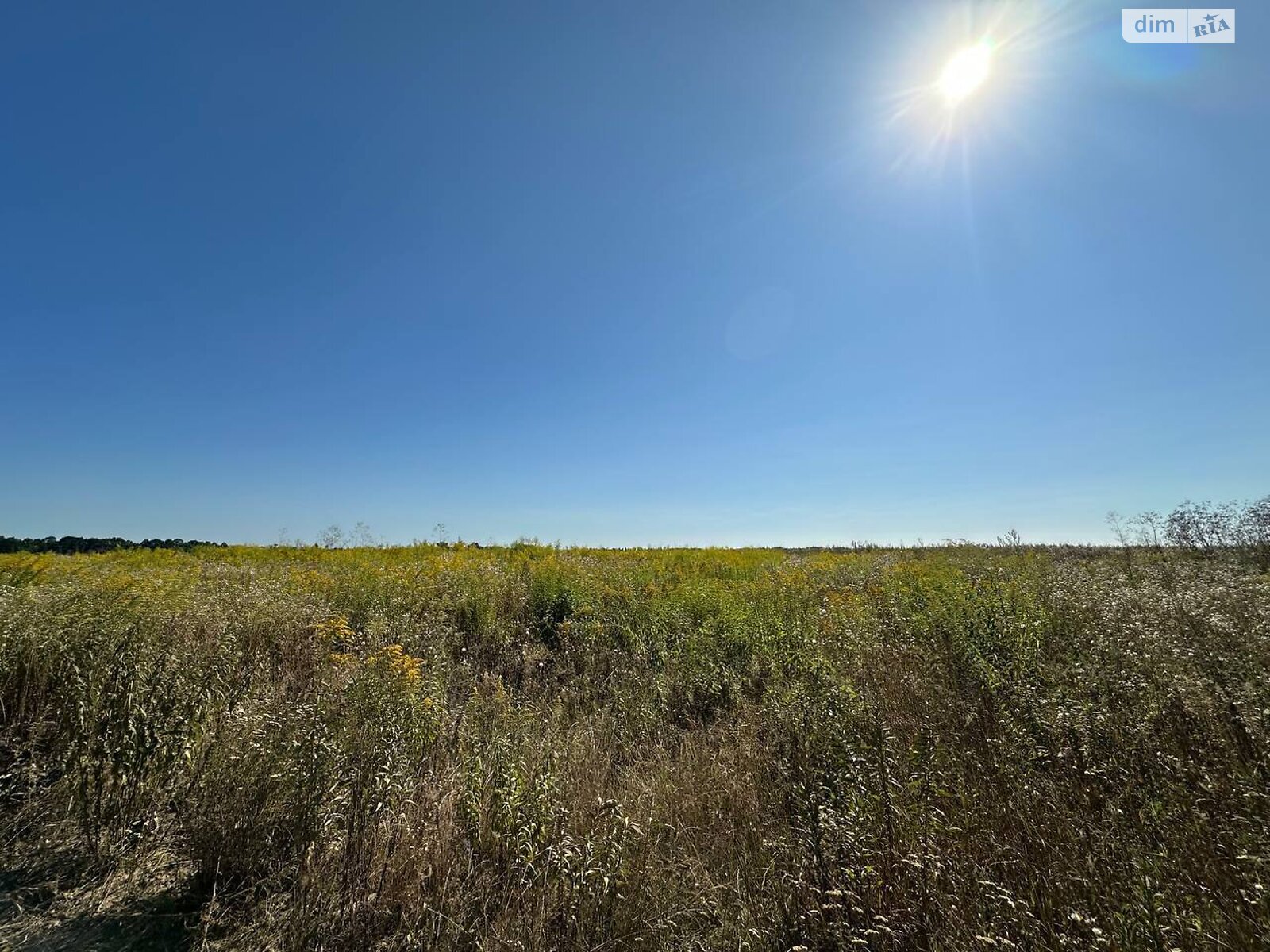 Земельный участок под жилую застройку в Агрономичном, площадь 6 соток фото 1