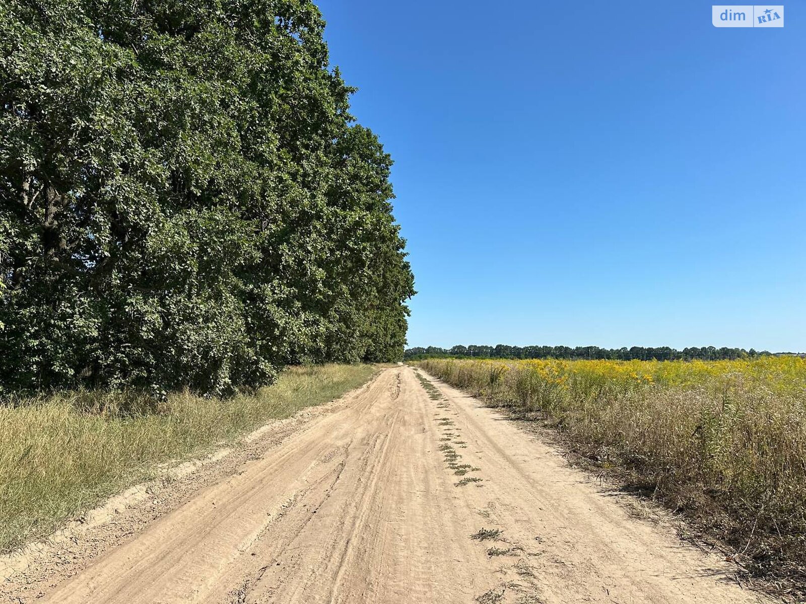 Земельный участок под жилую застройку в Агрономичном, площадь 6 соток фото 1