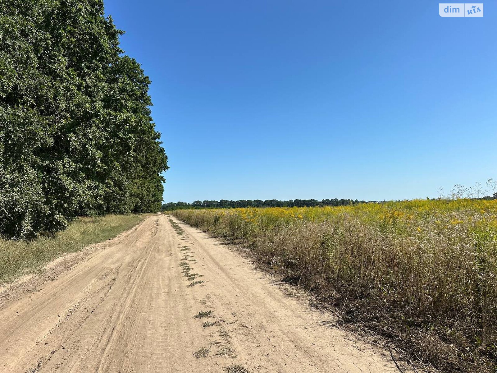 Земельный участок под жилую застройку в Агрономичном, площадь 6 соток фото 1