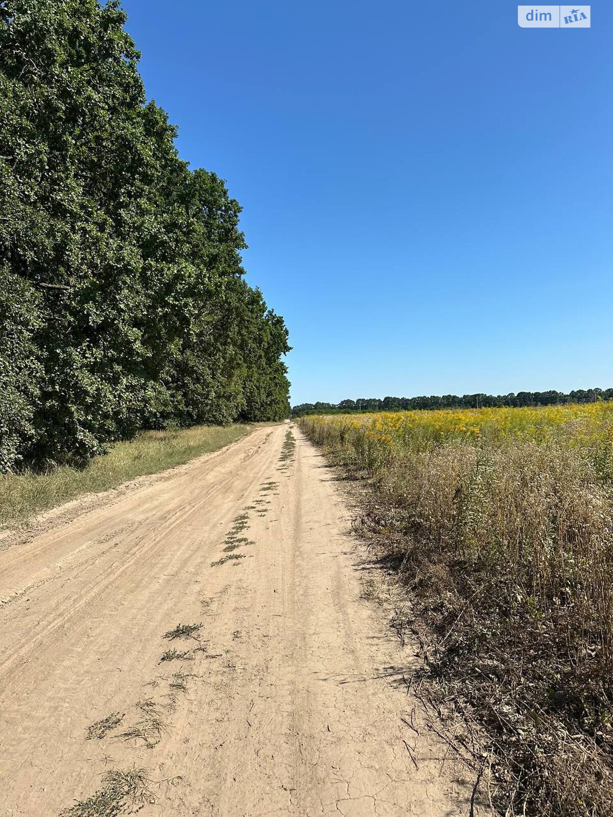 Земельный участок под жилую застройку в Агрономичном, площадь 6 соток фото 1