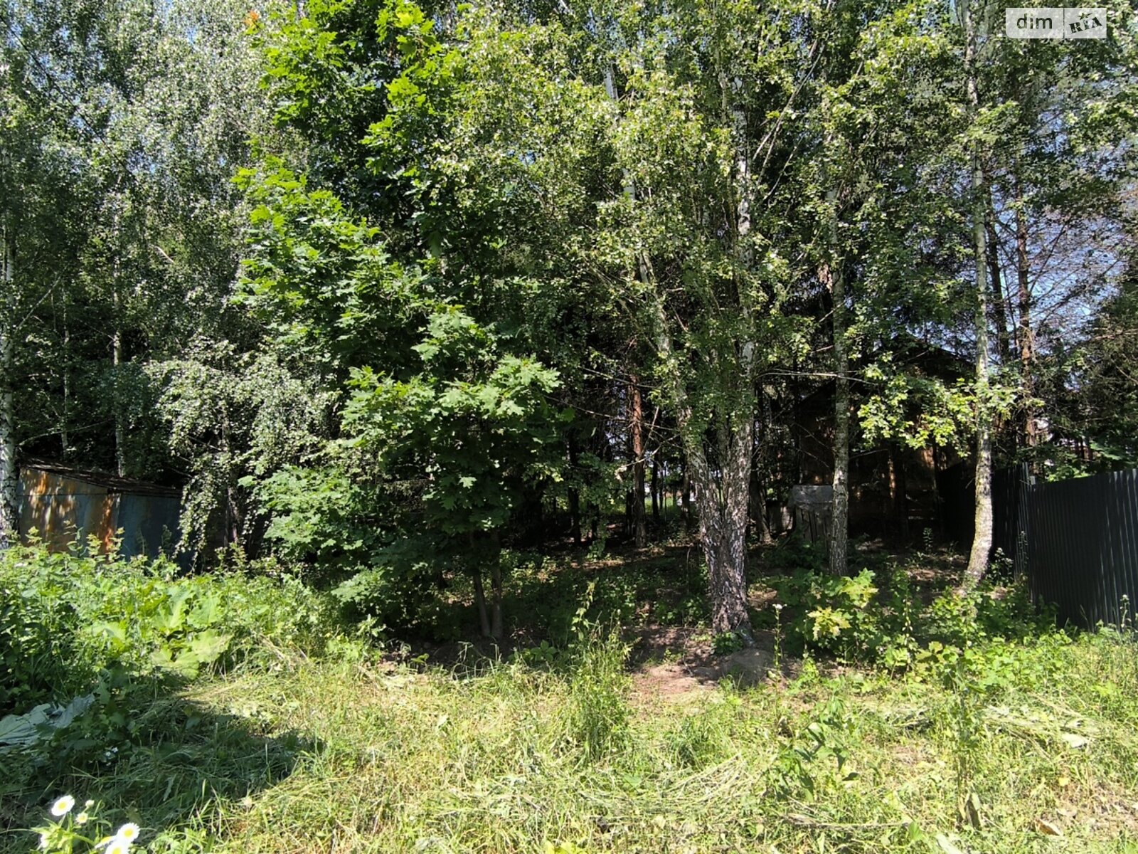 Земельна ділянка під житлову забудову в Агрономічному, площа 8 соток фото 1 Земельна ділянка під житлову забудову в Агрономічному, площа 8 соток фото 1