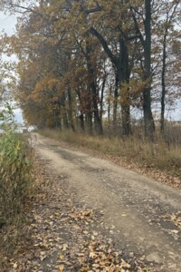 Земельный участок под жилую застройку в Агрономичном, площадь 8 соток фото 2