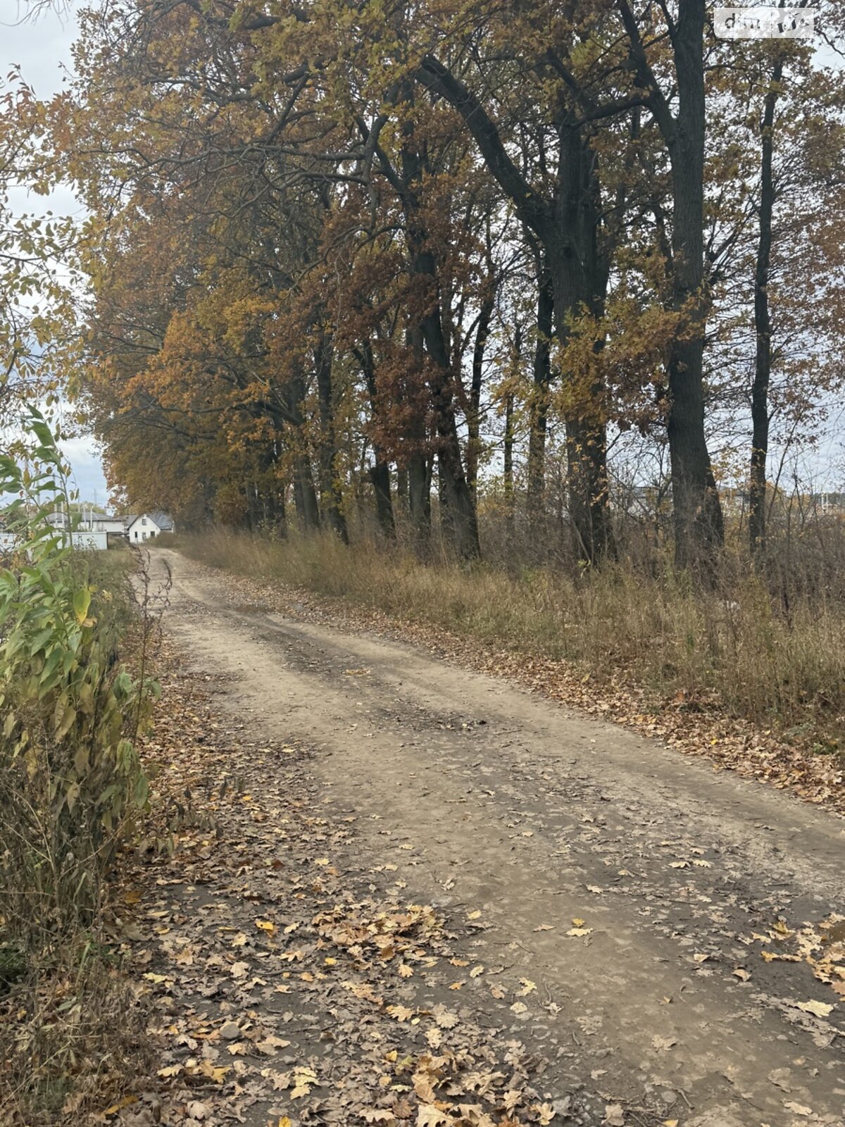 Земельный участок под жилую застройку в Агрономичном, площадь 8 соток фото 1