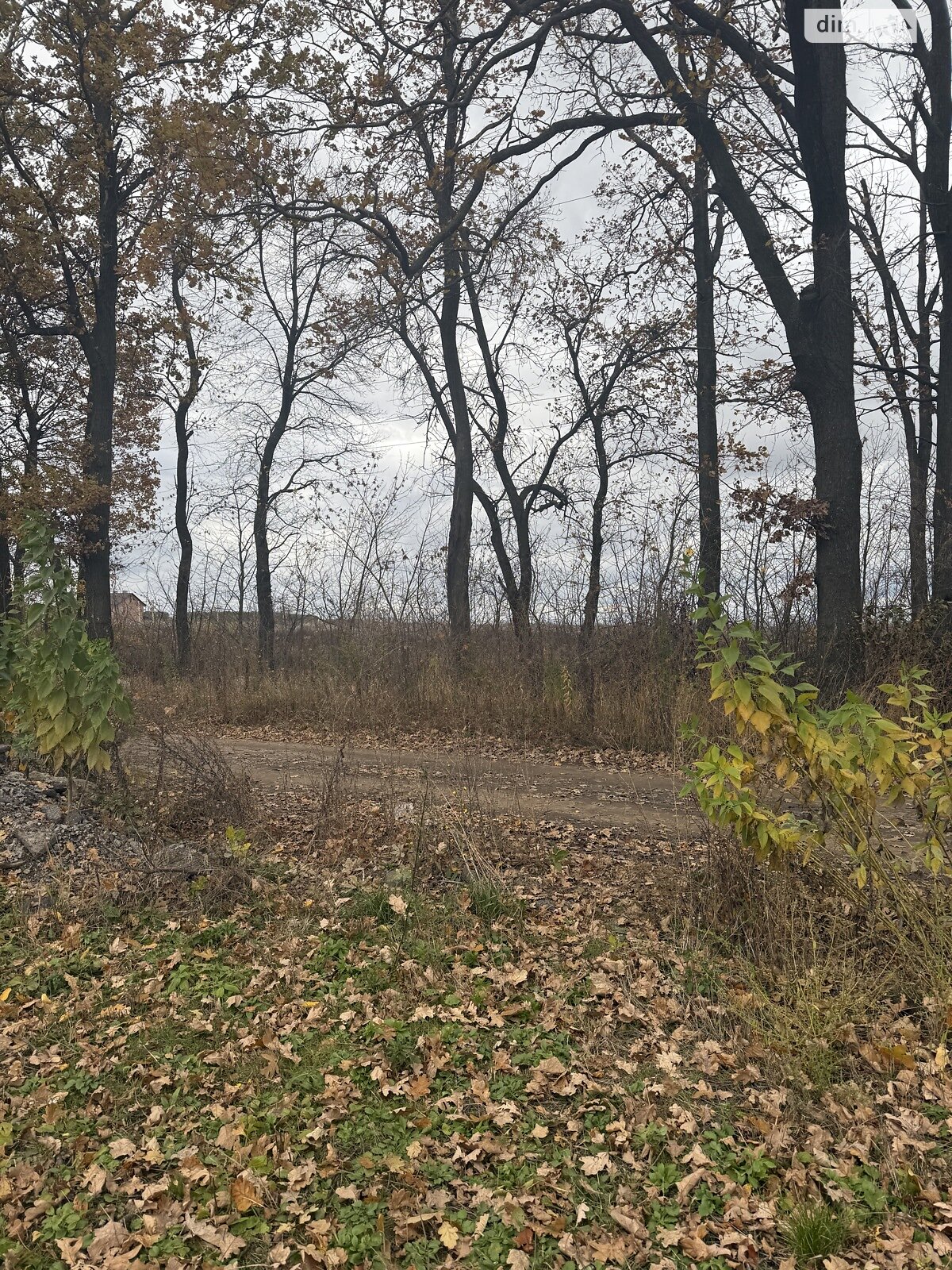 Земельный участок под жилую застройку в Агрономичном, площадь 8 соток фото 1