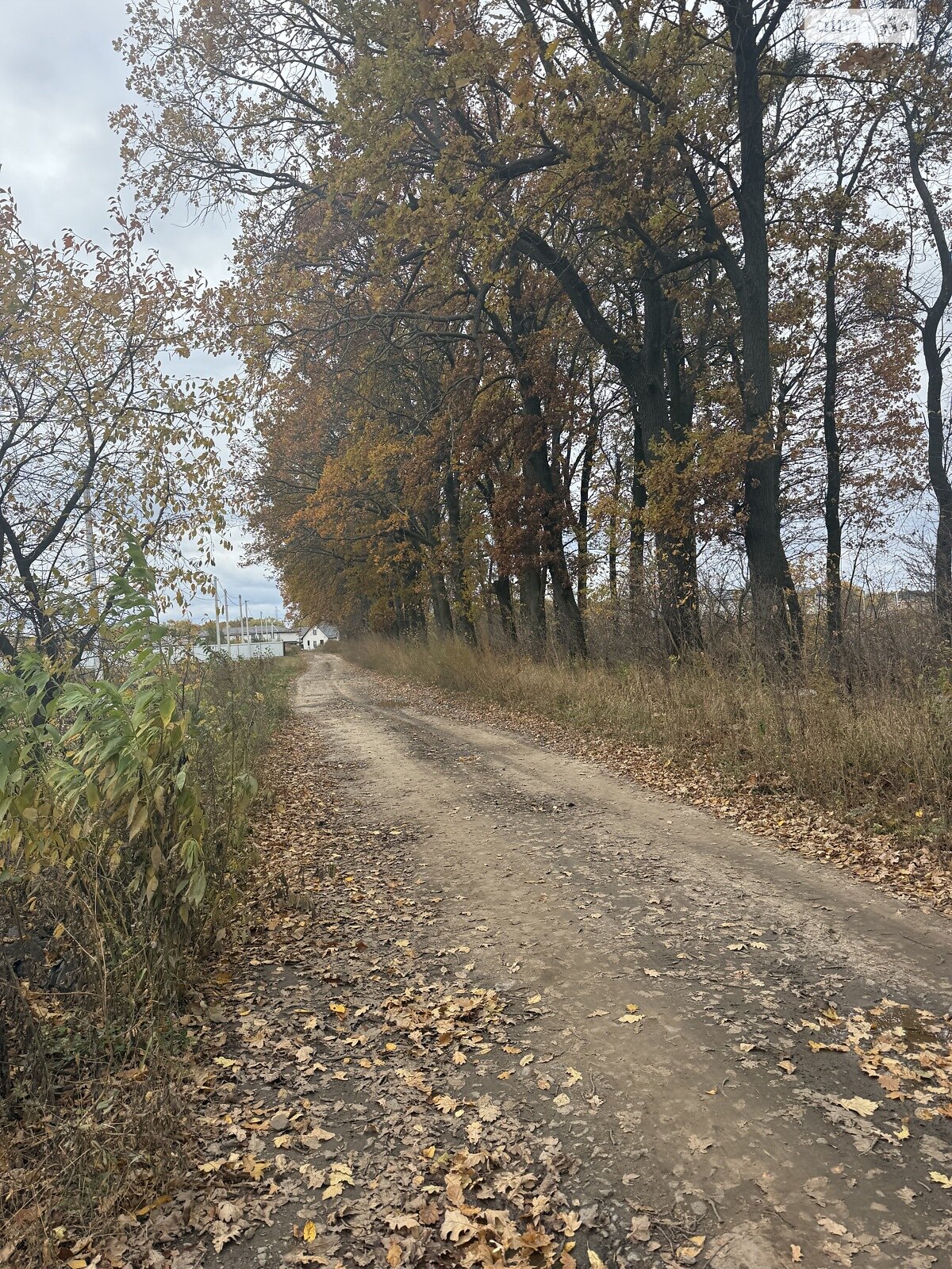 Земельный участок под жилую застройку в Агрономичном, площадь 8 соток фото 1