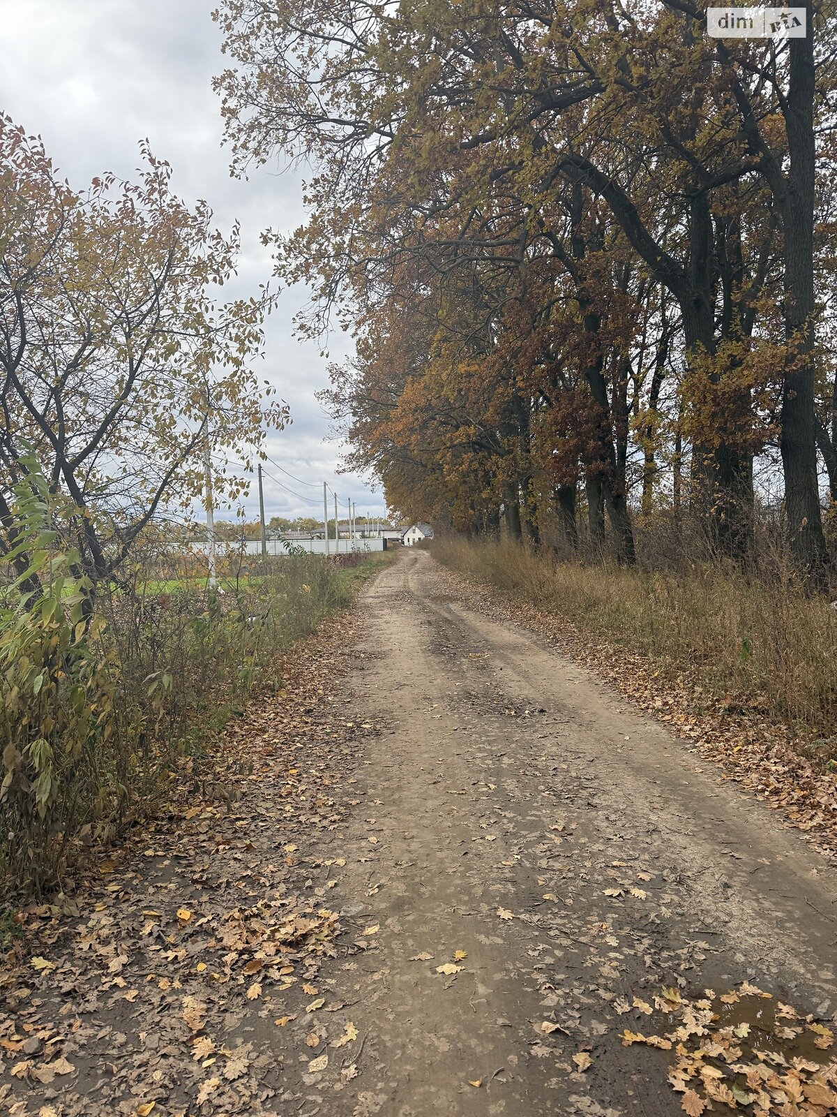 Земельный участок под жилую застройку в Агрономичном, площадь 8 соток фото 1
