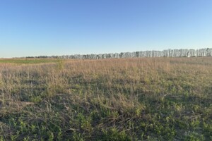 Земельна ділянка під житлову забудову в Агрономічному, площа 6 соток фото 2