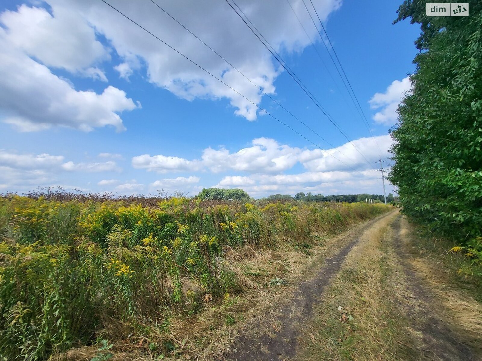 Земельна ділянка під житлову забудову в Агрономічному, площа 64 сотки фото 1