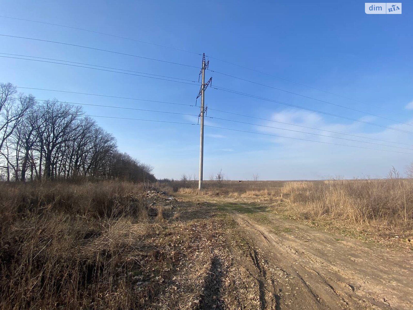 Земельна ділянка під житлову забудову в Агрономічному, площа 6 соток фото 1