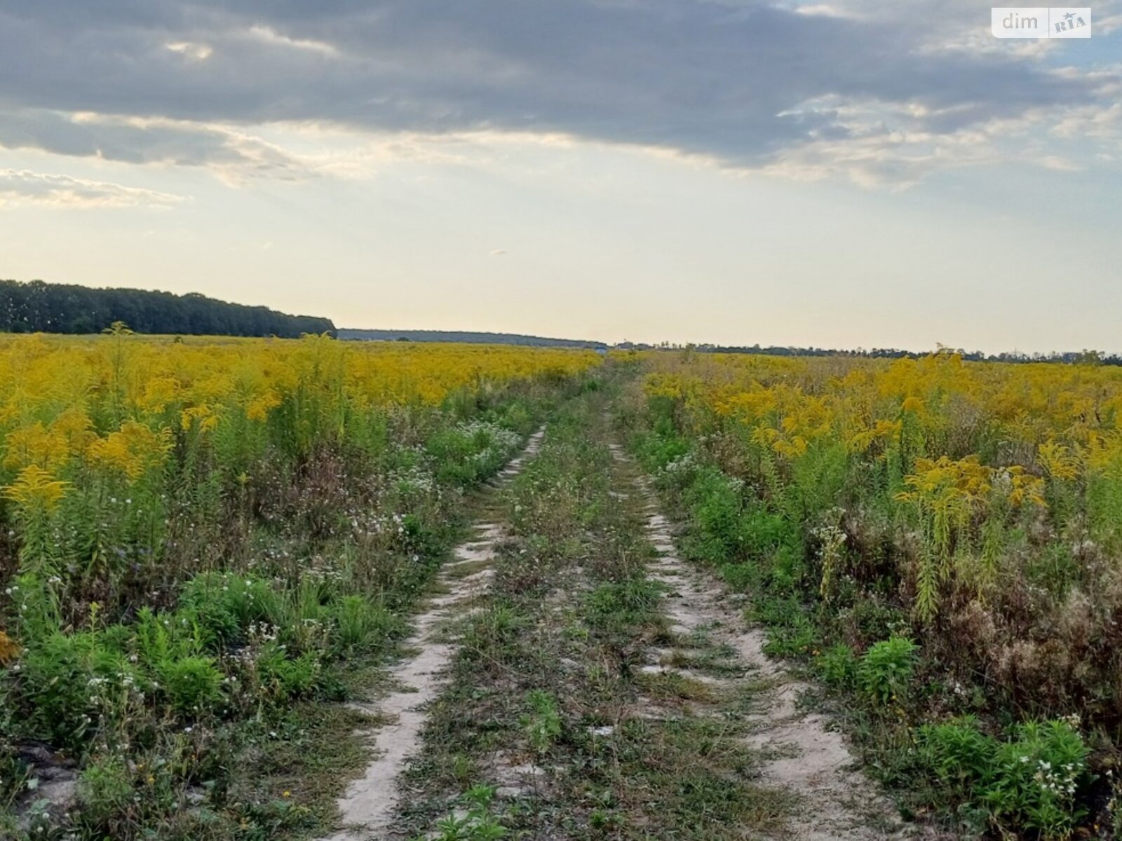 Земельна ділянка під житлову забудову в Агрономічному, площа 6 соток фото 1 Земельна ділянка під житлову забудову в Агрономічному, площа 6 соток фото 1