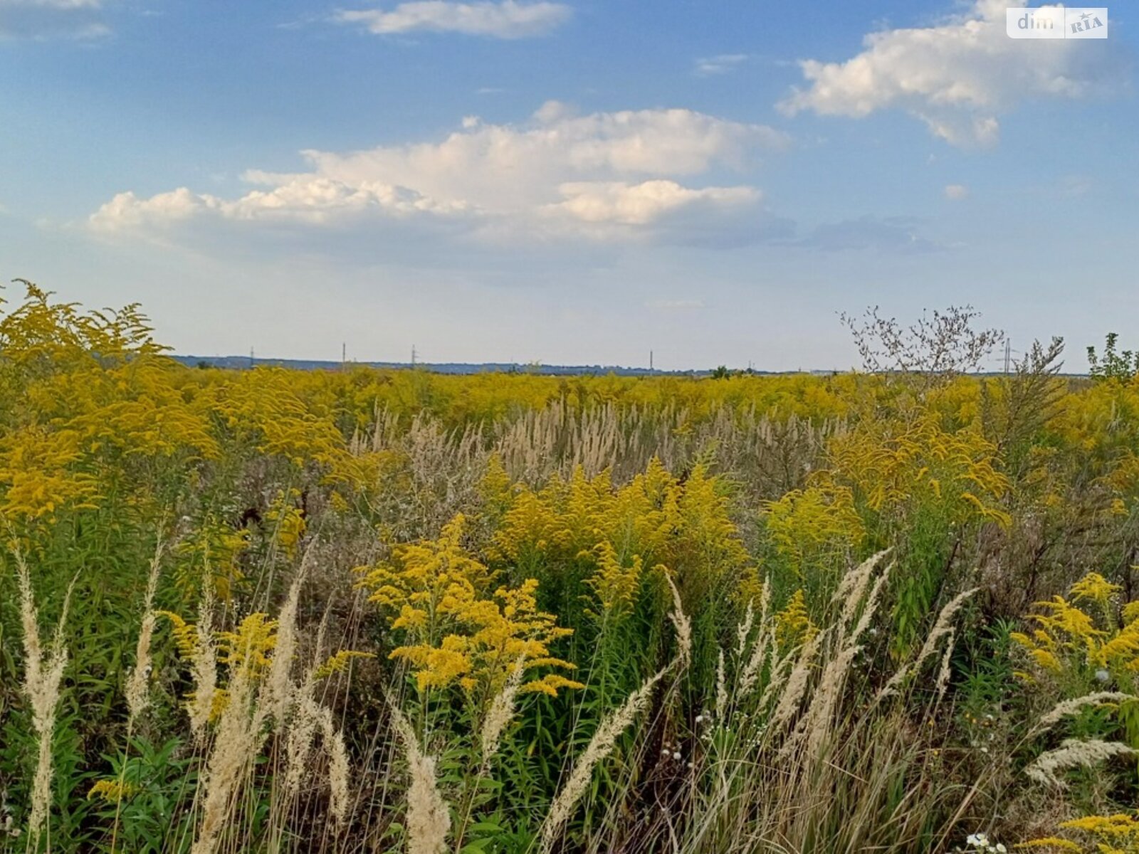 Земельна ділянка під житлову забудову в Агрономічному, площа 6 соток фото 1 Земельна ділянка під житлову забудову в Агрономічному, площа 6 соток фото 1