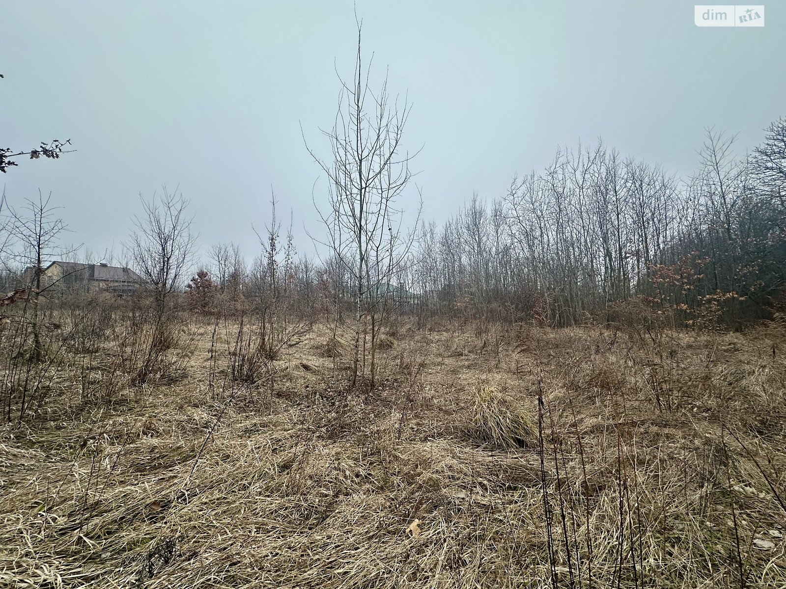 Земельна ділянка під житлову забудову в Агрономічному, площа 34 сотки фото 1 Земельна ділянка під житлову забудову в Агрономічному, площа 34 сотки фото 1