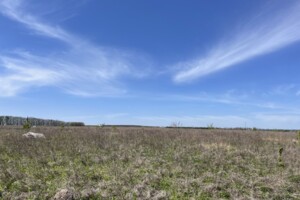 Земельный участок под жилую застройку в Агрономичном, площадь 6 соток фото 2