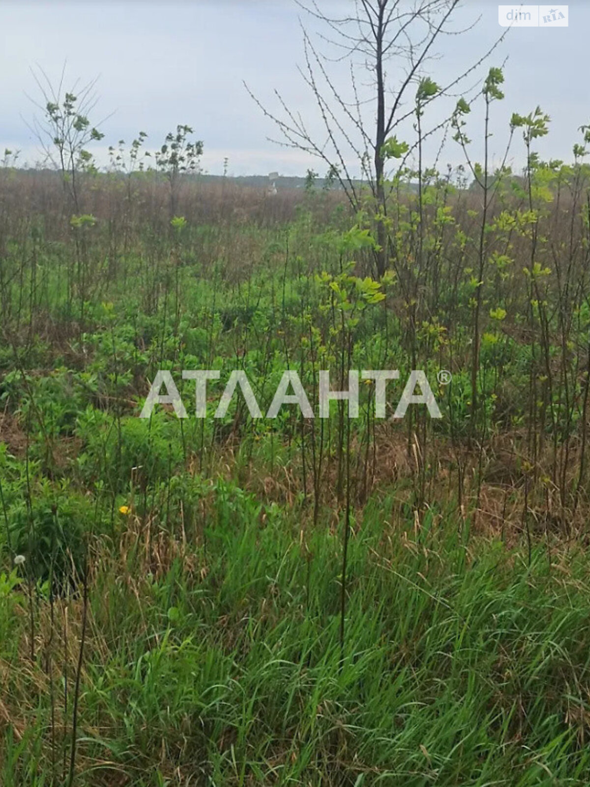 Земельна ділянка під житлову забудову в Агрономічному, площа 5.94 сотки фото 1