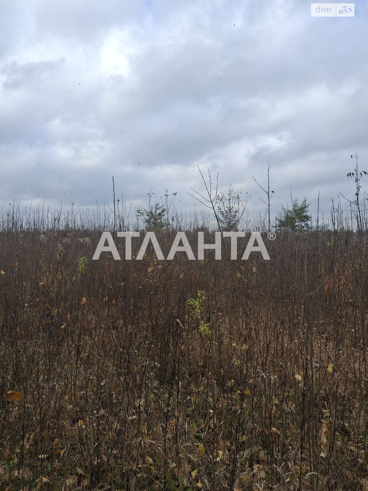 Земельна ділянка під житлову забудову в Агрономічному, площа 5.94 сотки фото 1