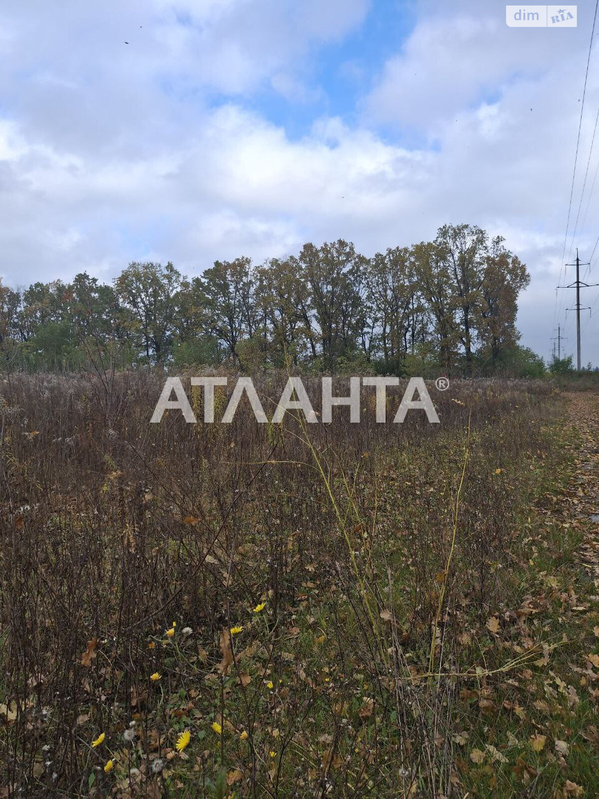 Земельна ділянка під житлову забудову в Агрономічному, площа 5.94 сотки фото 1