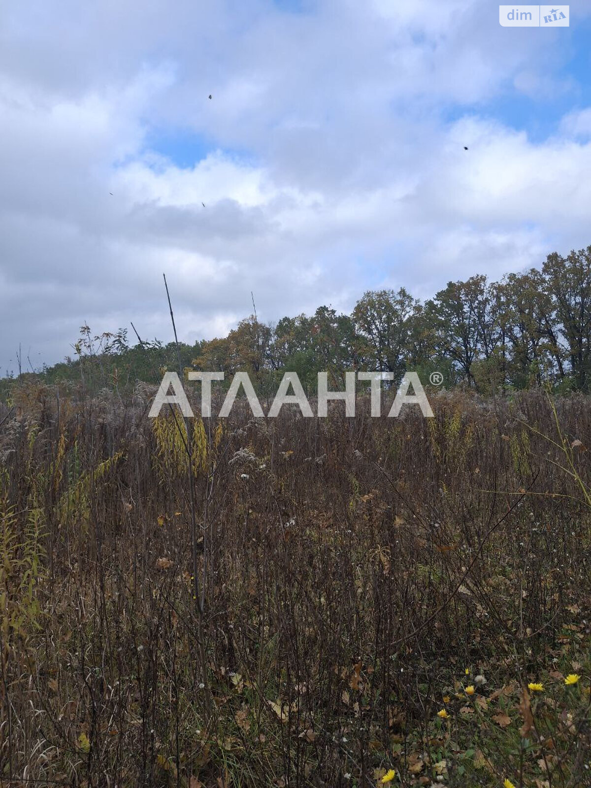 Земельна ділянка під житлову забудову в Агрономічному, площа 5.94 сотки фото 1