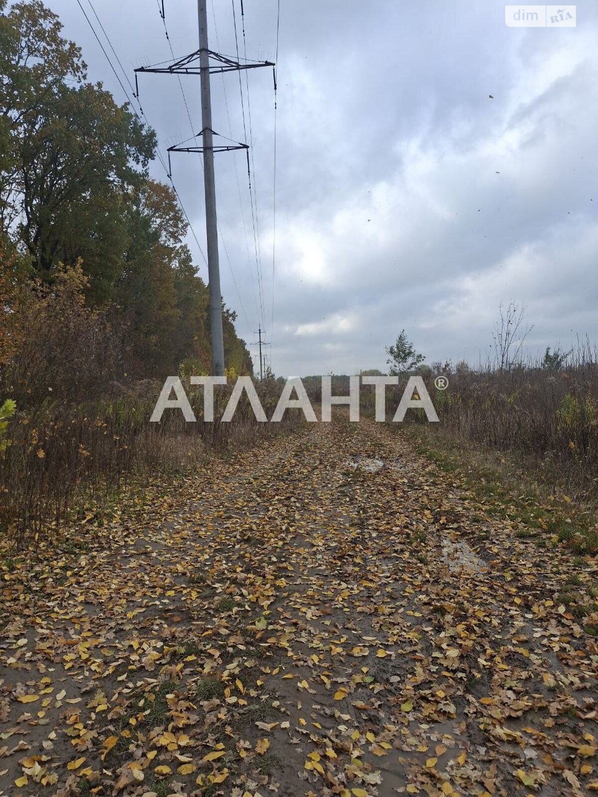 Земельна ділянка під житлову забудову в Агрономічному, площа 5.94 сотки фото 1