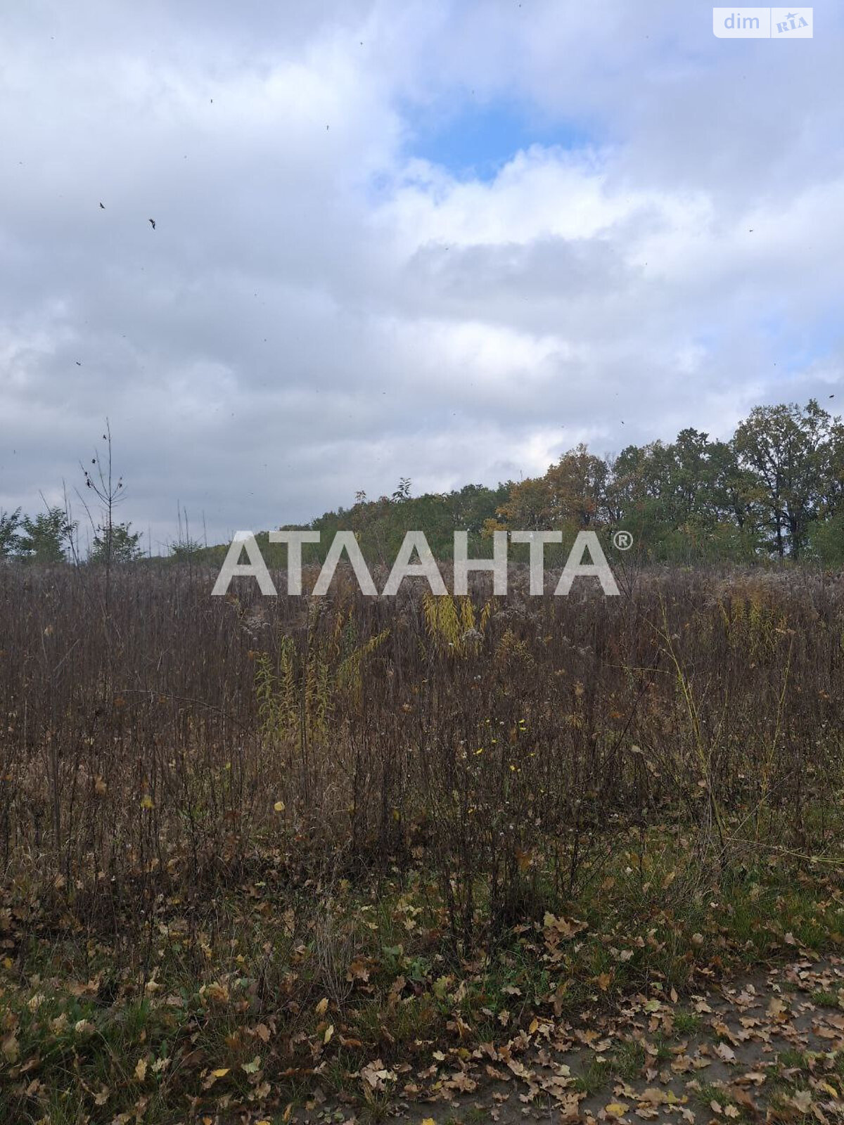 Земельна ділянка під житлову забудову в Агрономічному, площа 5.94 сотки фото 1