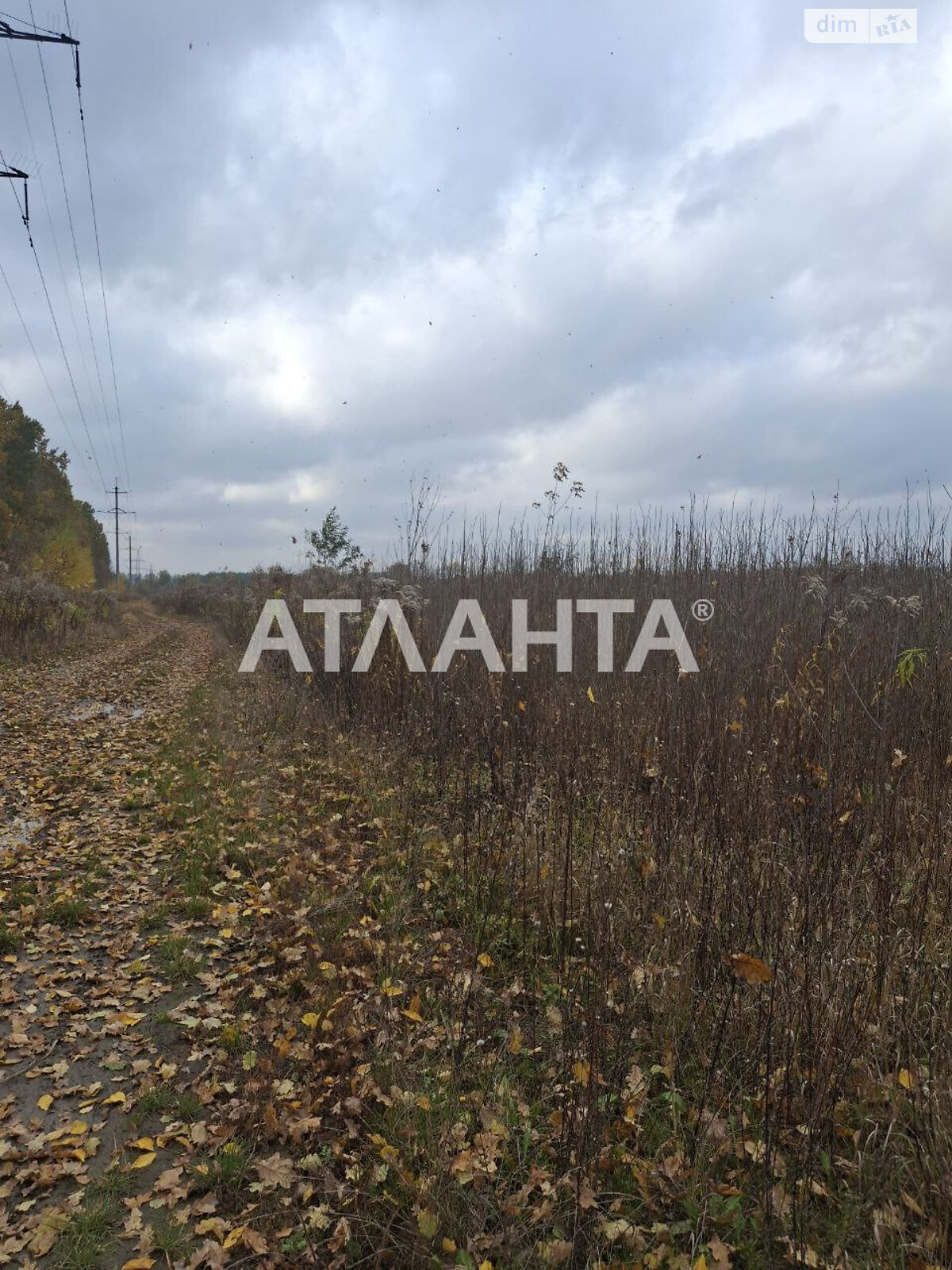 Земельна ділянка під житлову забудову в Агрономічному, площа 5.94 сотки фото 1