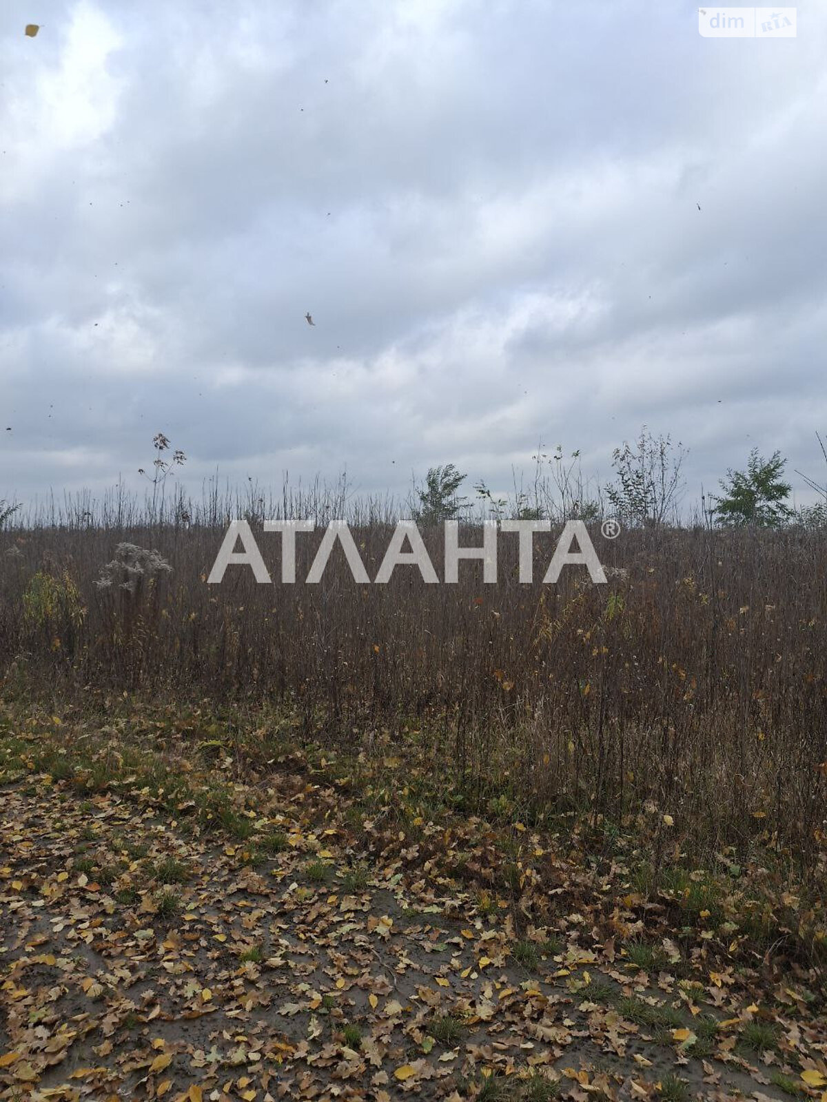 Земельна ділянка під житлову забудову в Агрономічному, площа 5.94 сотки фото 1