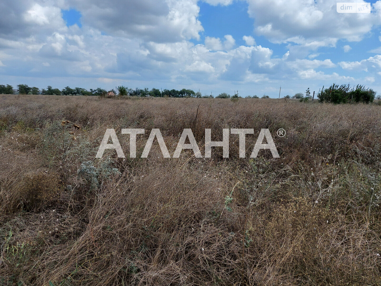 Земельна ділянка під житлову забудову в Олександрівці, площа 10 соток фото 1 Земельна ділянка під житлову забудову в Олександрівці, площа 10 соток фото 1