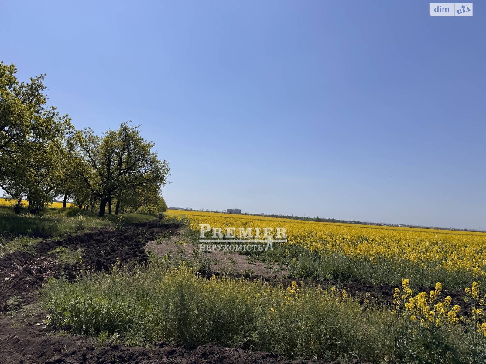 Земельна ділянка під житлову забудову в Олександрівці, площа 8.3 сотки фото 1 Земельна ділянка під житлову забудову в Олександрівці, площа 8.3 сотки фото 1